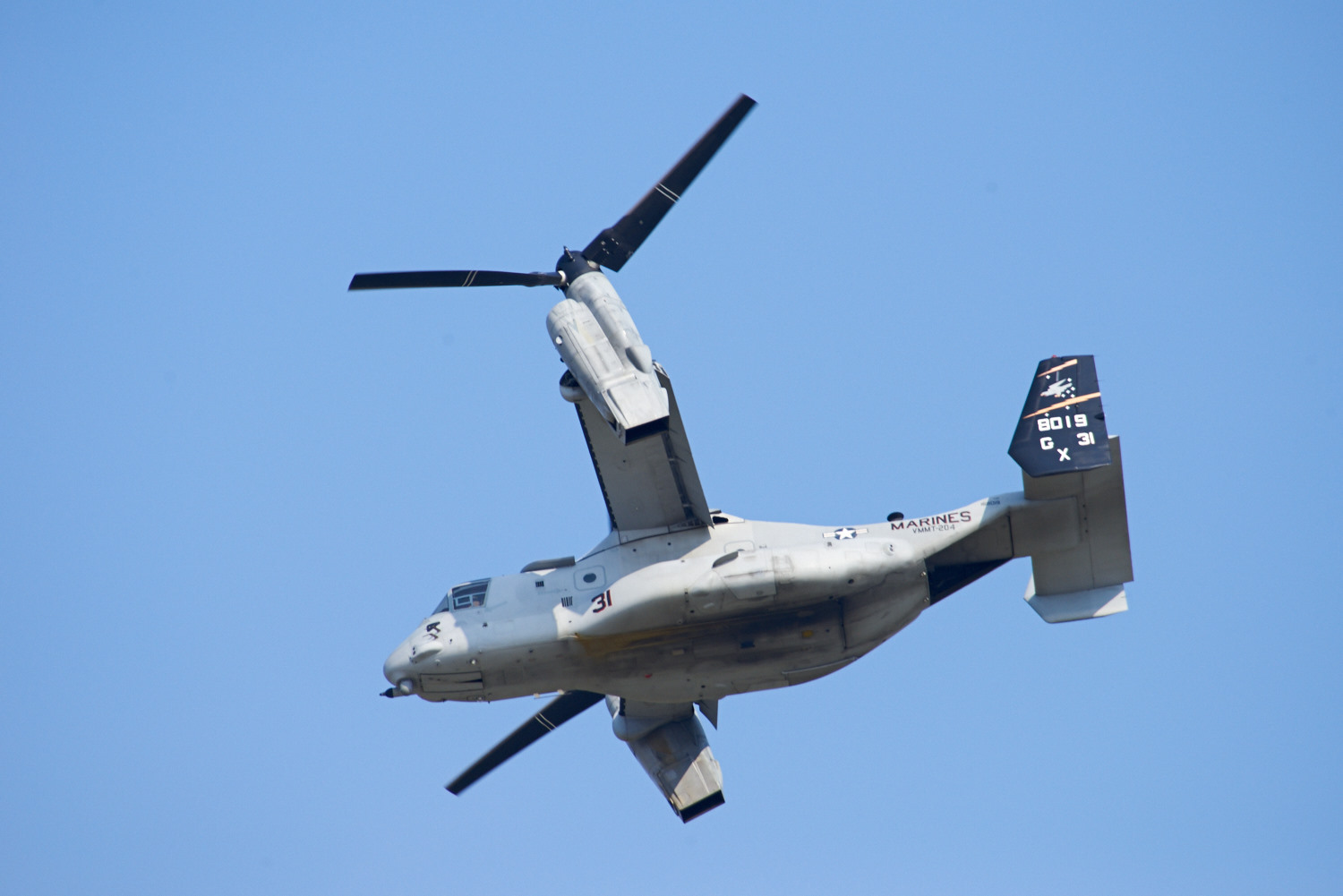 Osprey shortly after takeoff